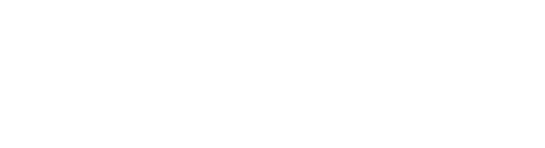 Vision Pioneers Egypt